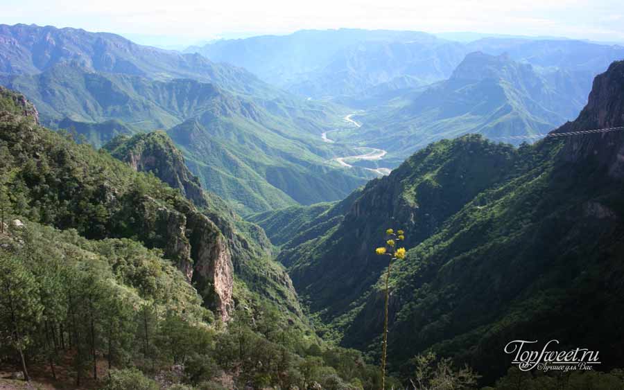 Ущелье Тодра (Todra Gorge)