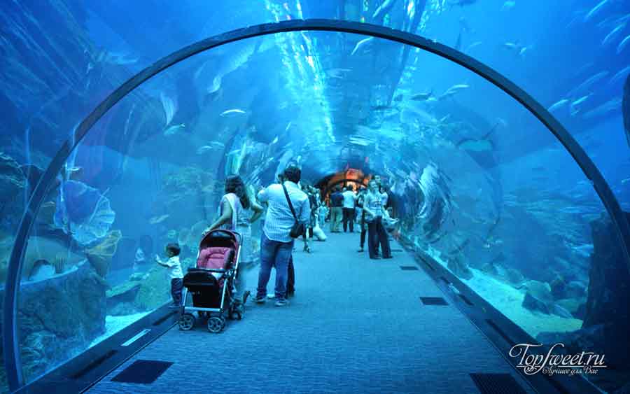Океанариум внутри торгового центра Dubai Mall