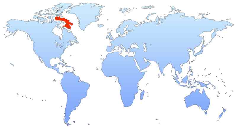 Баффинова Земля на карте