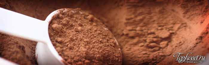 Какао-порошок содержит растительный белок
