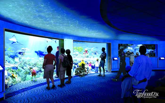 National Aquarium, Baltimore. Самые большие и необычные аквариумы в мире