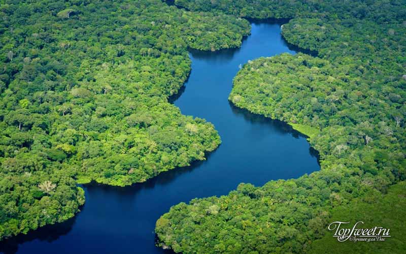 Сельва Амазонки. Самые загадочные и неизведанные места на Земле