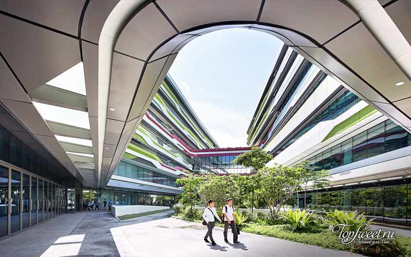 Сингапурский университет технологий и дизайна